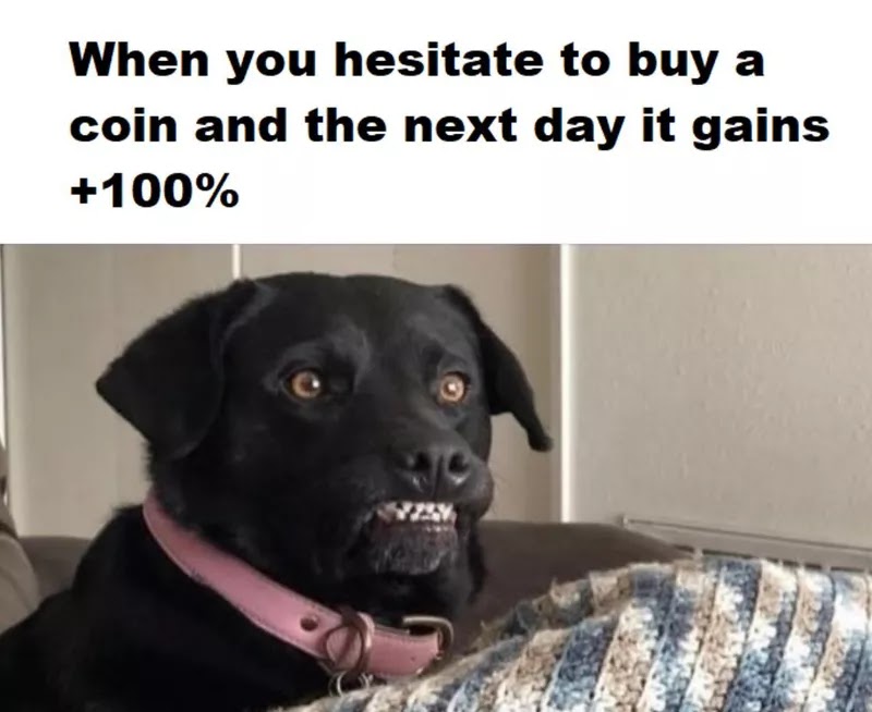 hesitate-to-buy-a-coin