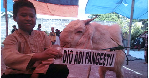 Sisihkan Uang Jajan Selama Setahun, Bocah SD Ini Diam-Diam Beli Kambing Untuk Kurban