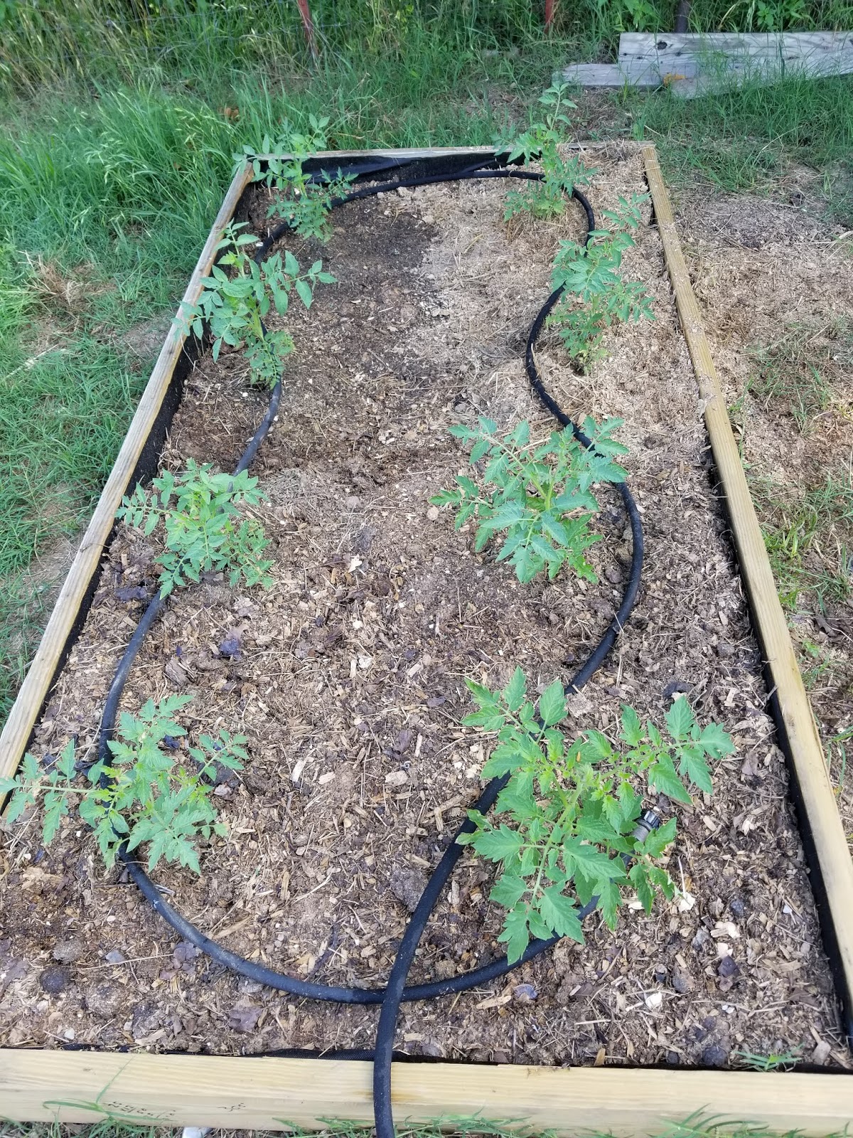 How to Fix a Hole in a Garden Hose Oak Hill Homestead