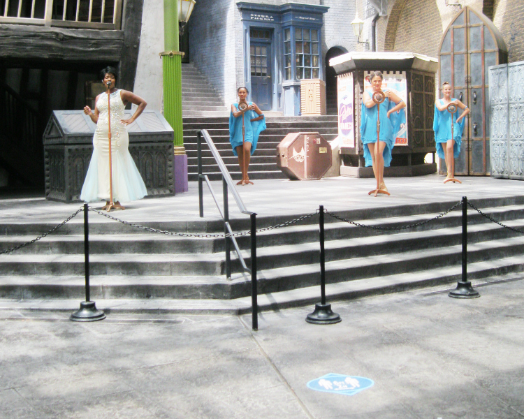 Wizarding World of Harry Potter Pandemic