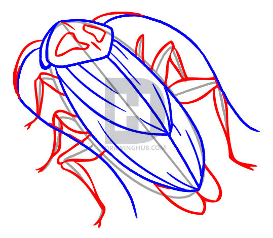 Cara Menggambar Kecoa Langkah demi Langkah - Menggambar Hewan dan