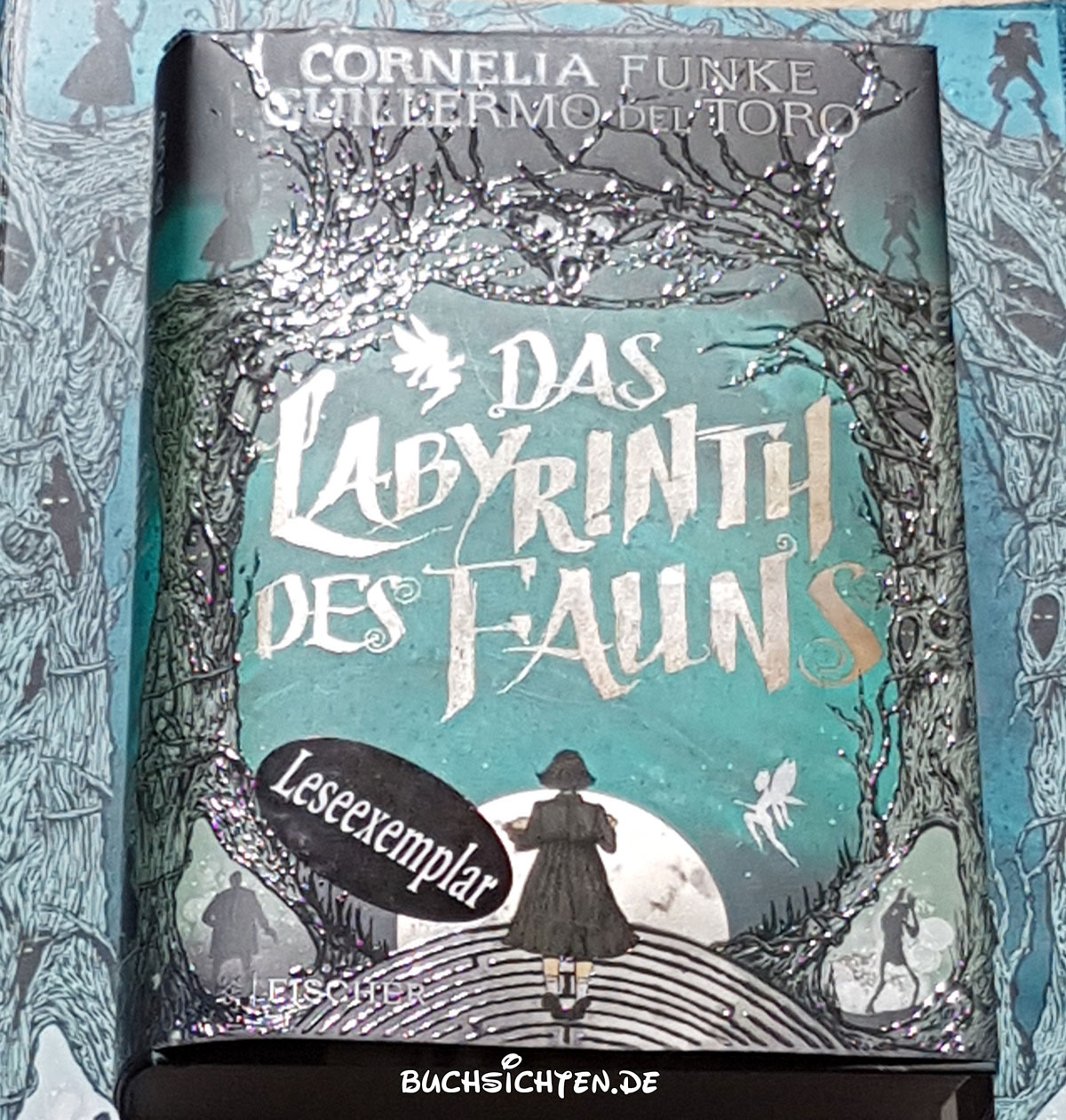 Buchsichten Rezension Das Labyrinth Des Fauns Von Cornelia Funke Und Guillermo Del Toro