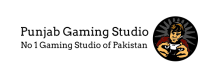 Gamings Studios in Lahore. Best Gamings and Softwares Studio