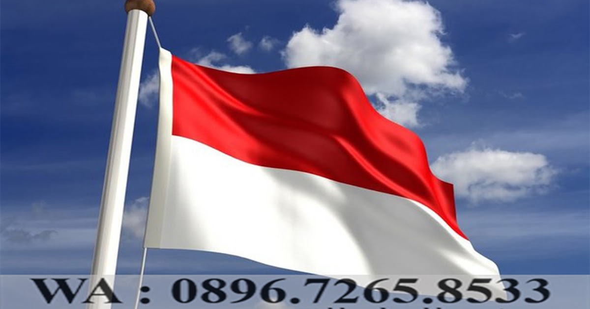 Jual Bendera Merah Putih Perlengkapanya Kecil Background Backdrop Umbul Bandir