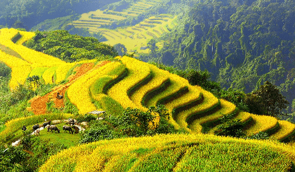 du lịch hà giang tháng 10 du lịch hà giang tháng 10