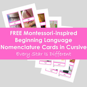FREE Montessori-inspired Beginning Language Nomenclaure Cards in Cursive
