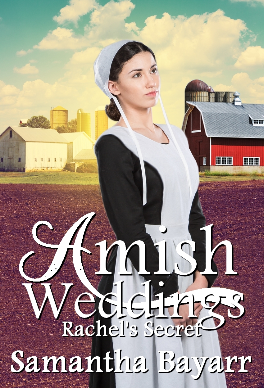 Amish Books New Release Amish Fiction Books