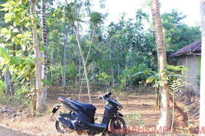 Tanah Murah Patuk Gunungkidul Tanah Murah Patuk Gunungkidul BU