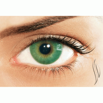 Trsektor Freshlook Renkli Lens Katalogu Fiyatlari Numarali Numarasiz Ne Kadar