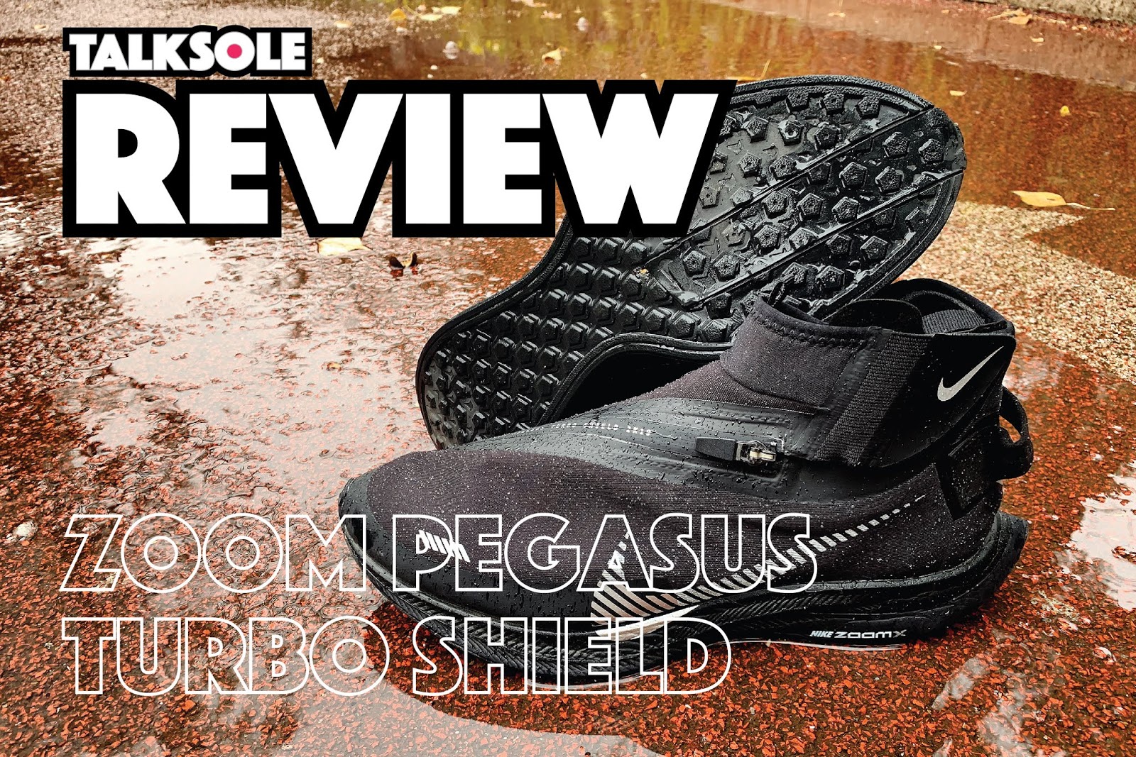 zoom pegasus turbo shield review