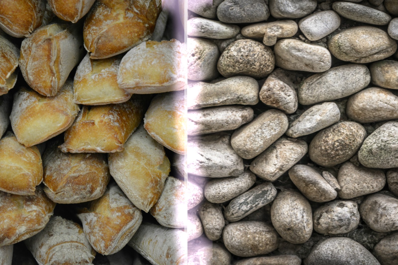 Stones for bread the growth of secular religion in the West Culture Witness