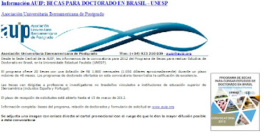 Información AUIP: BECAS PARA DOCTORADO EN BRASIL - UNESP