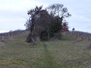 Randonnée Tarn Gaillac Bea rando Decouverte