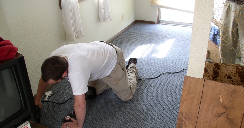 Get the Best Carpet Cleaning Services in Mckinney Heaven's Best