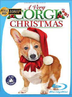 Una Navidad con Corgi (2019) HD [1080p] Latino [GoogleDrive] PGD