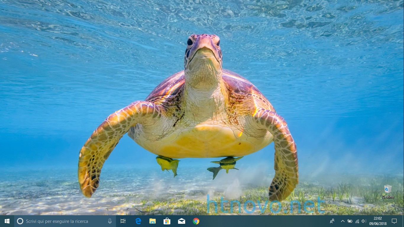 Download-Undersea-Life-Tema-Windows 10