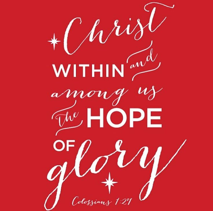 It's A Wonderful LifeStyle Hallmark's Christmas in Evergreen Tidings