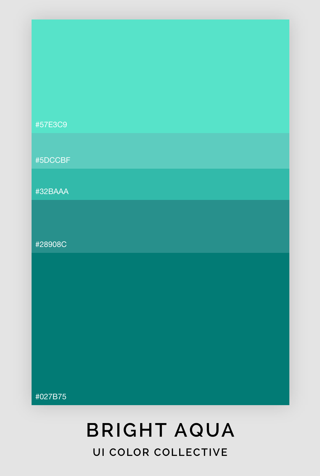 Bright Aqua Color Palette