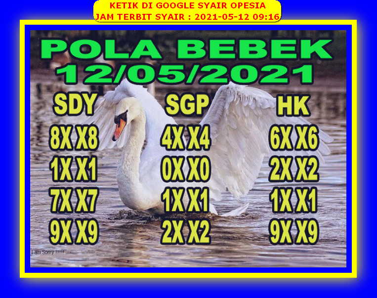 PREDIKSI SYDNEY COJEEL
