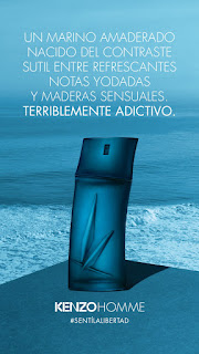 acqua di gio homme eau de parfum