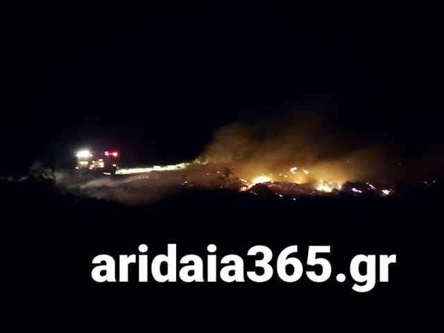 Πυρκαγιά στο Γαρέφι Αλμωπίας στην Αριδαία Πυρκαγιά στο Γαρέφι Αλμωπίας στην Αριδαία