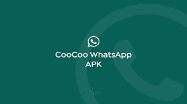 Coocoo WhatsApp Terbaru