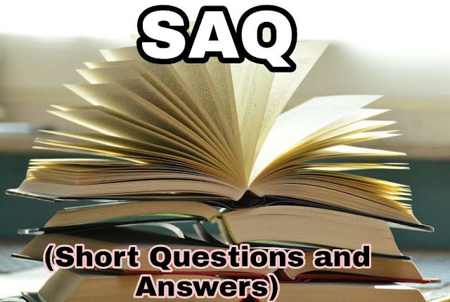 Three Questions SAQ (Short Questions and Answers) Leo Tolstoy WB.HS