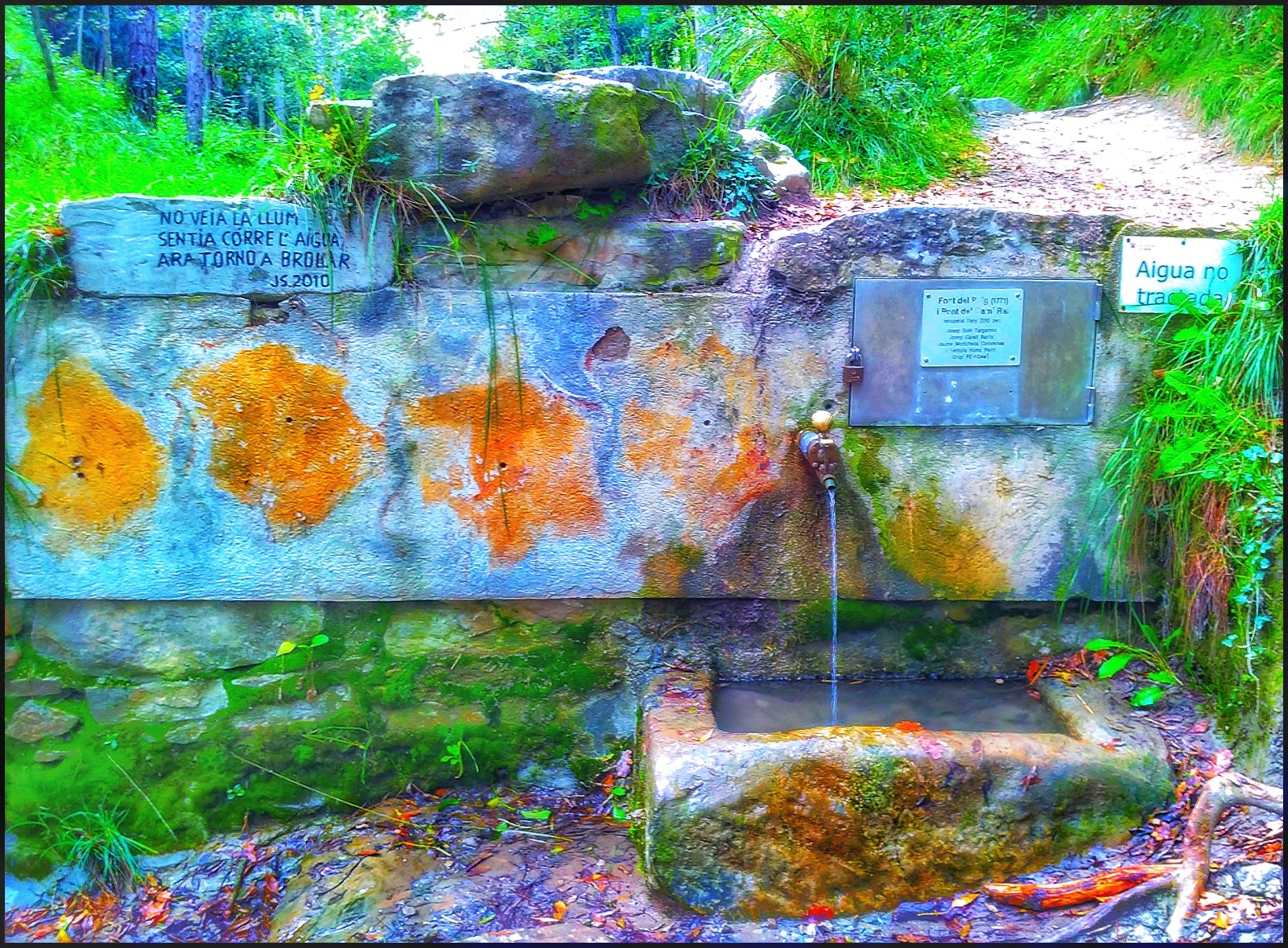 EL DIVINO PACIENTE Gurb, el bosque encantado.