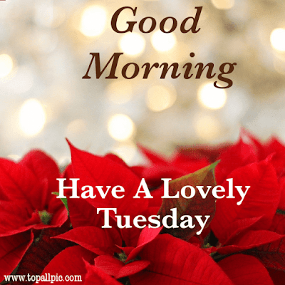 good morning tuesday images good morning tuesday images