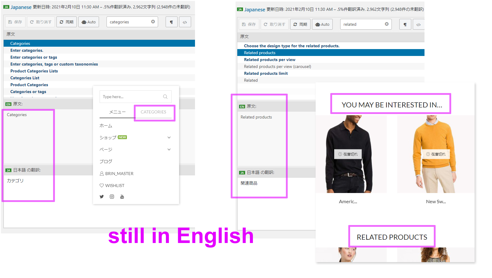 I can't translate text into my language