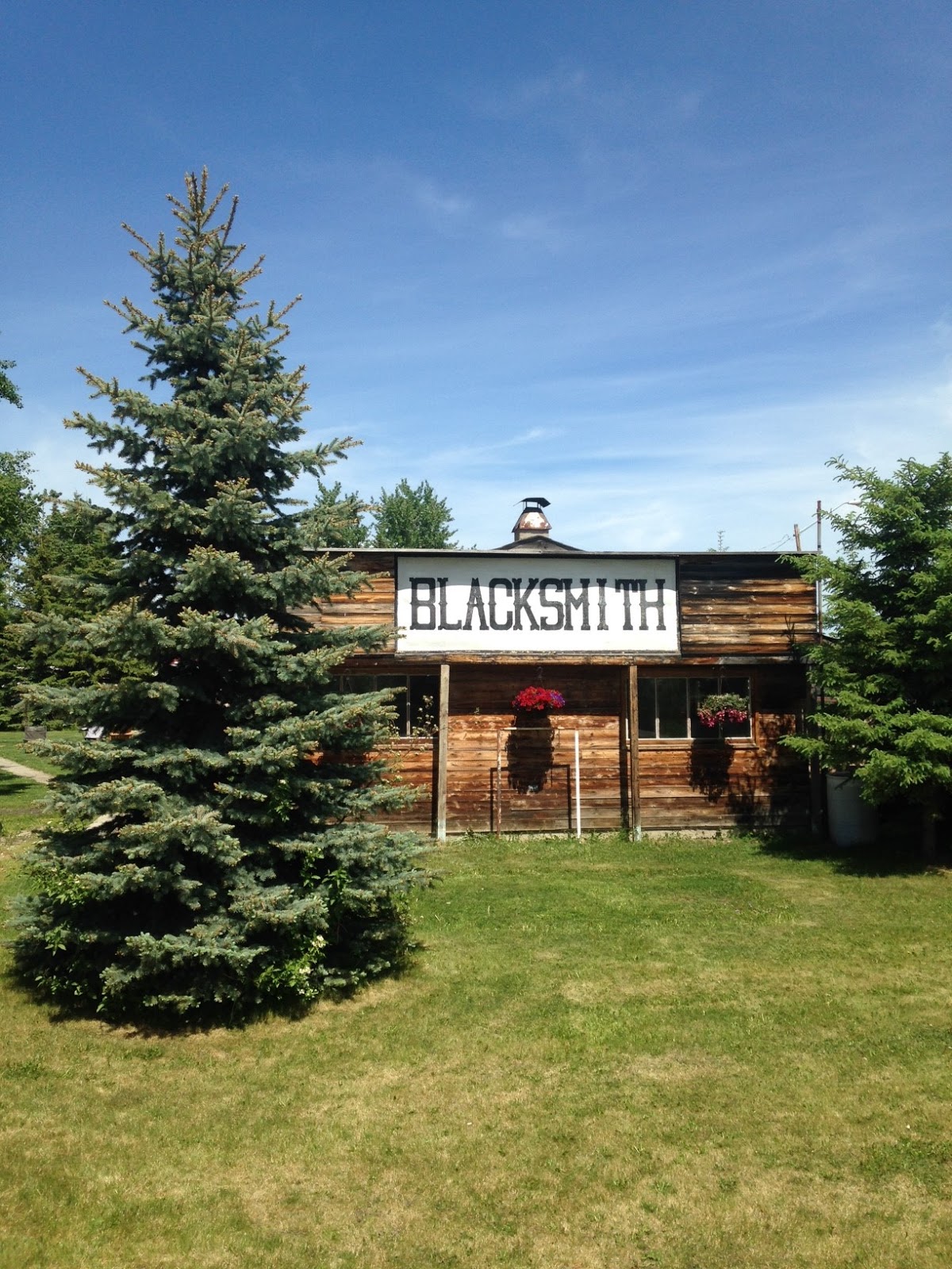 The view from here Markerville, Alberta, June 7, 2015