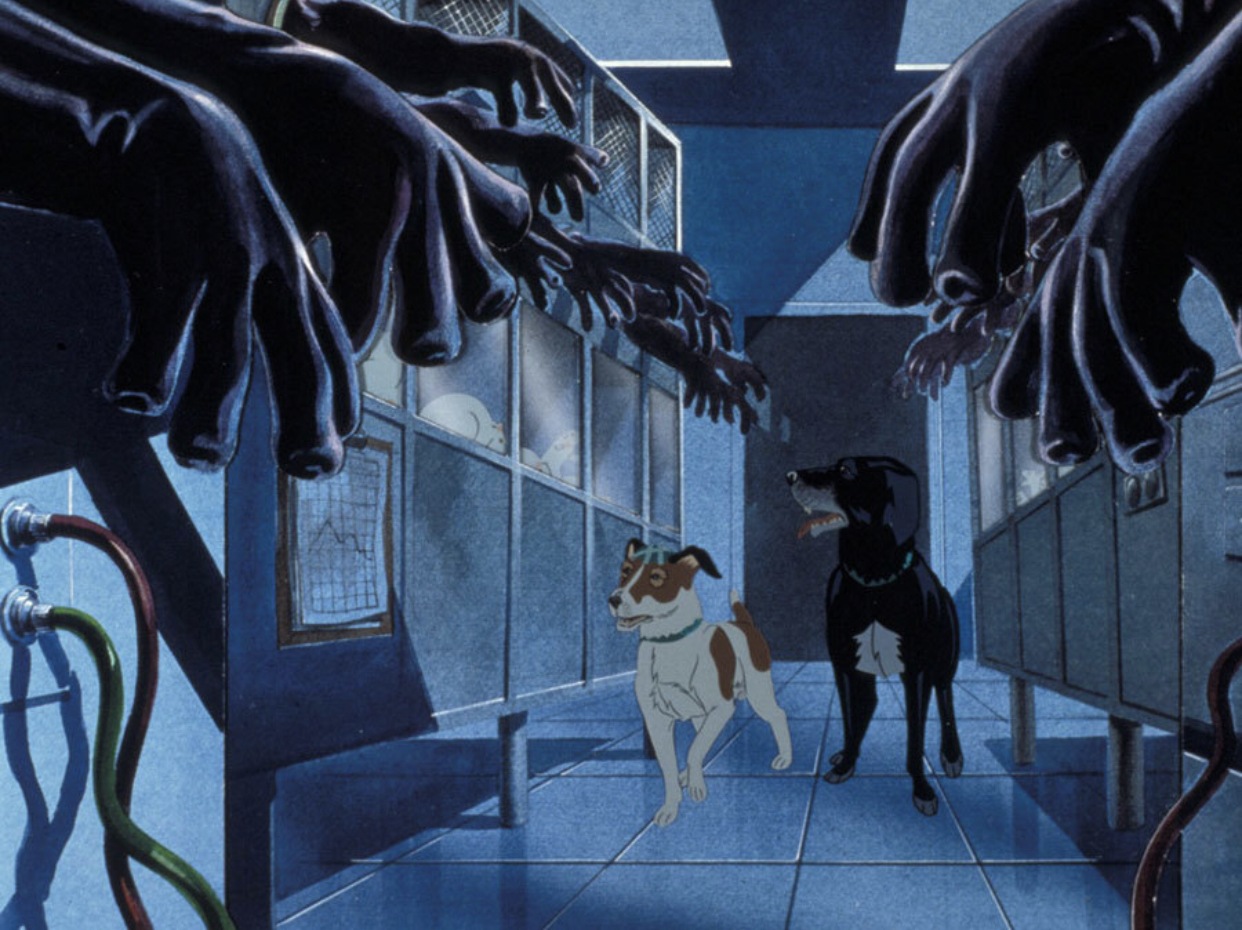 F This Movie! 52/82 THE PLAGUE DOGS