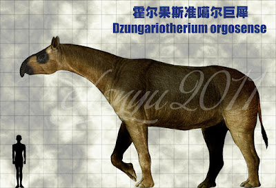 Dzungariotherium