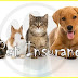 The 9 Best Pet Insurance Plans of 2020 The 9 Best Pet Insurance Plans of 2020