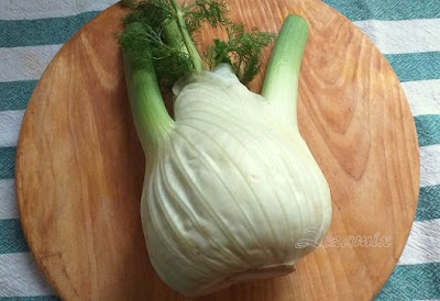 Fennel (Foeniculum vulgare)