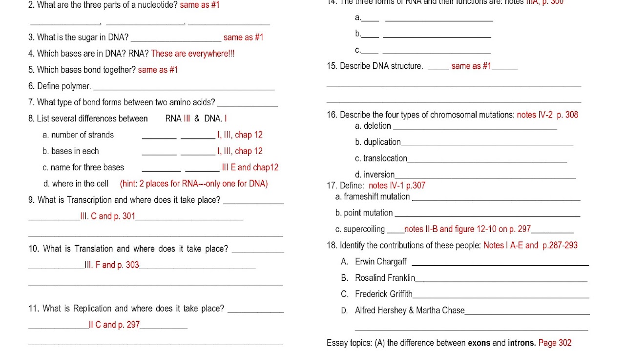 dna-rna-and-protein-synthesis-worksheet-answers-protein-choices