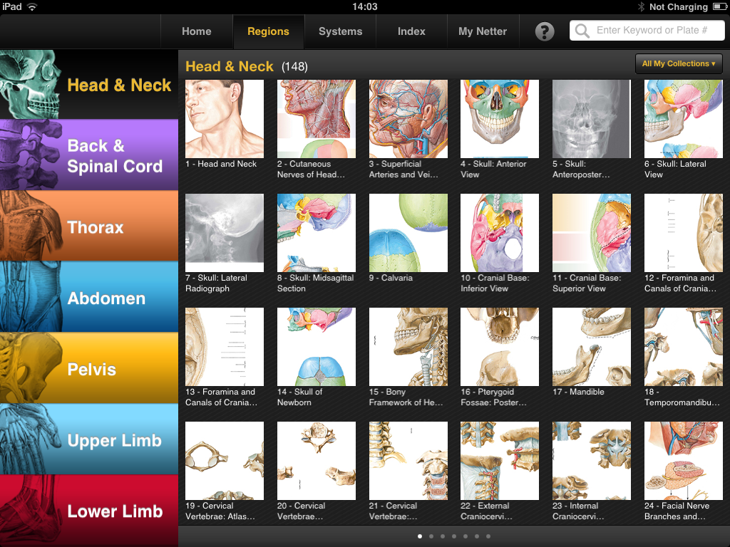 Home regions. Netter's Anatomy Atlas. Netter interactive Atlas of Human Anatomy 3.0. Netter Atlas of Human Anatomy abdomen.