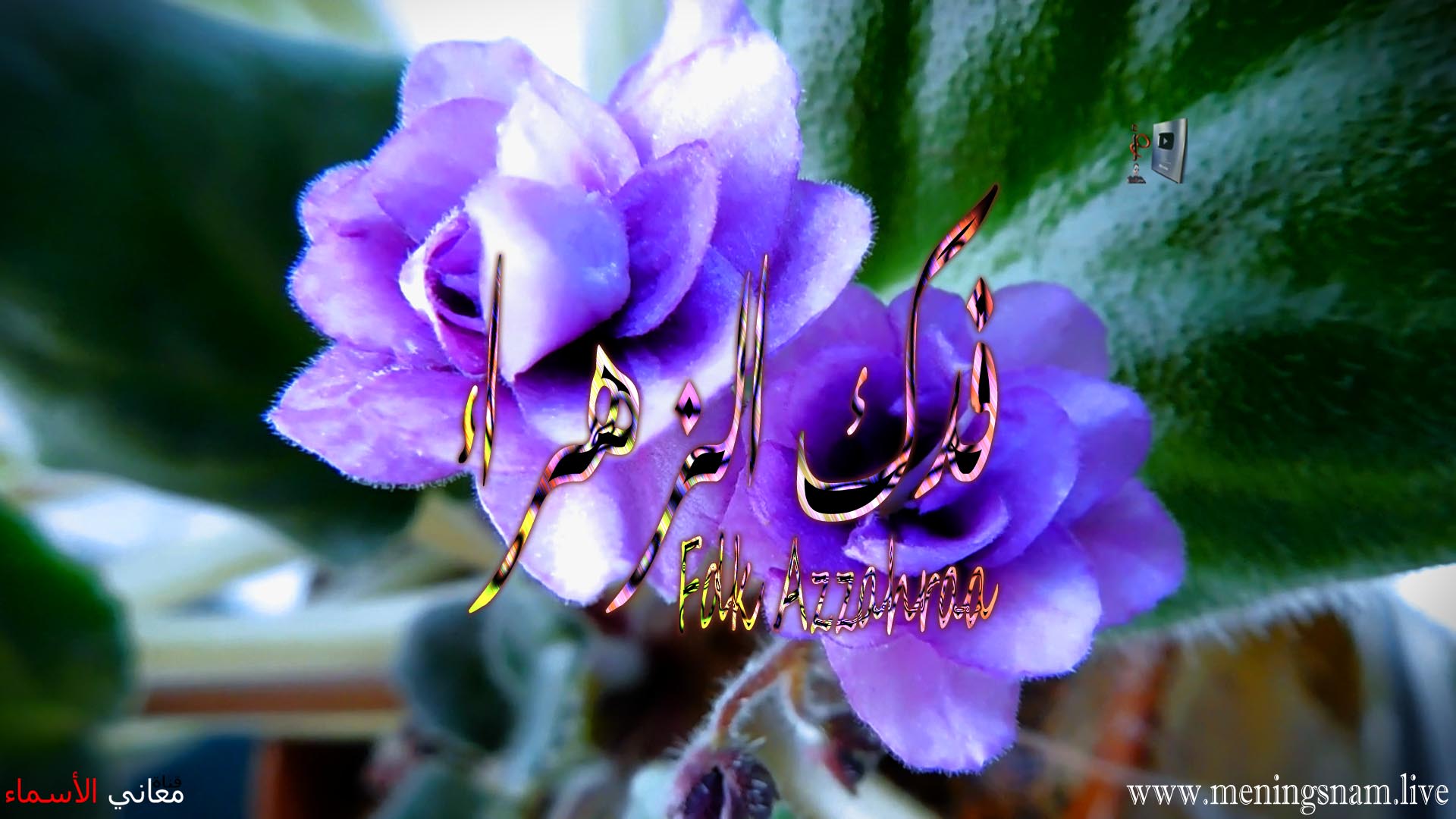 معنى اسم فاطمه وصفاتها معنى اسم فاطمه وصفاتها