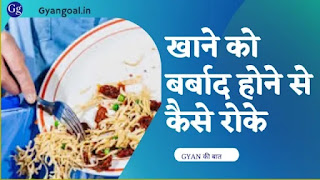 how to stop food from going to waste