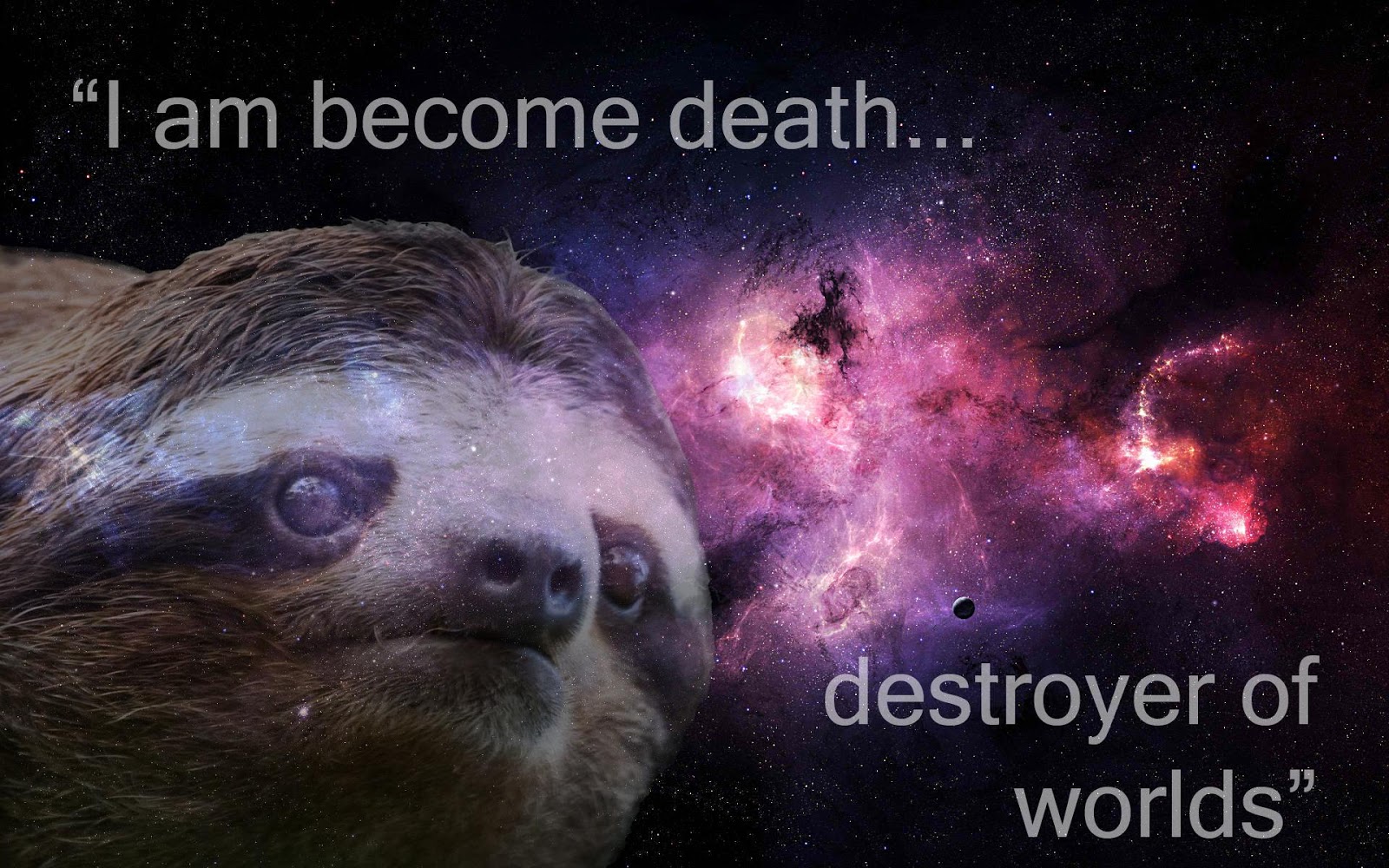 Sloth Wallpapers Sloth Wallpapers
