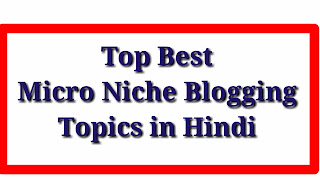 Top best micro niche blogging topics in Hindi 