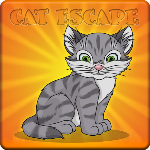 House Cat Escape Walkthro…