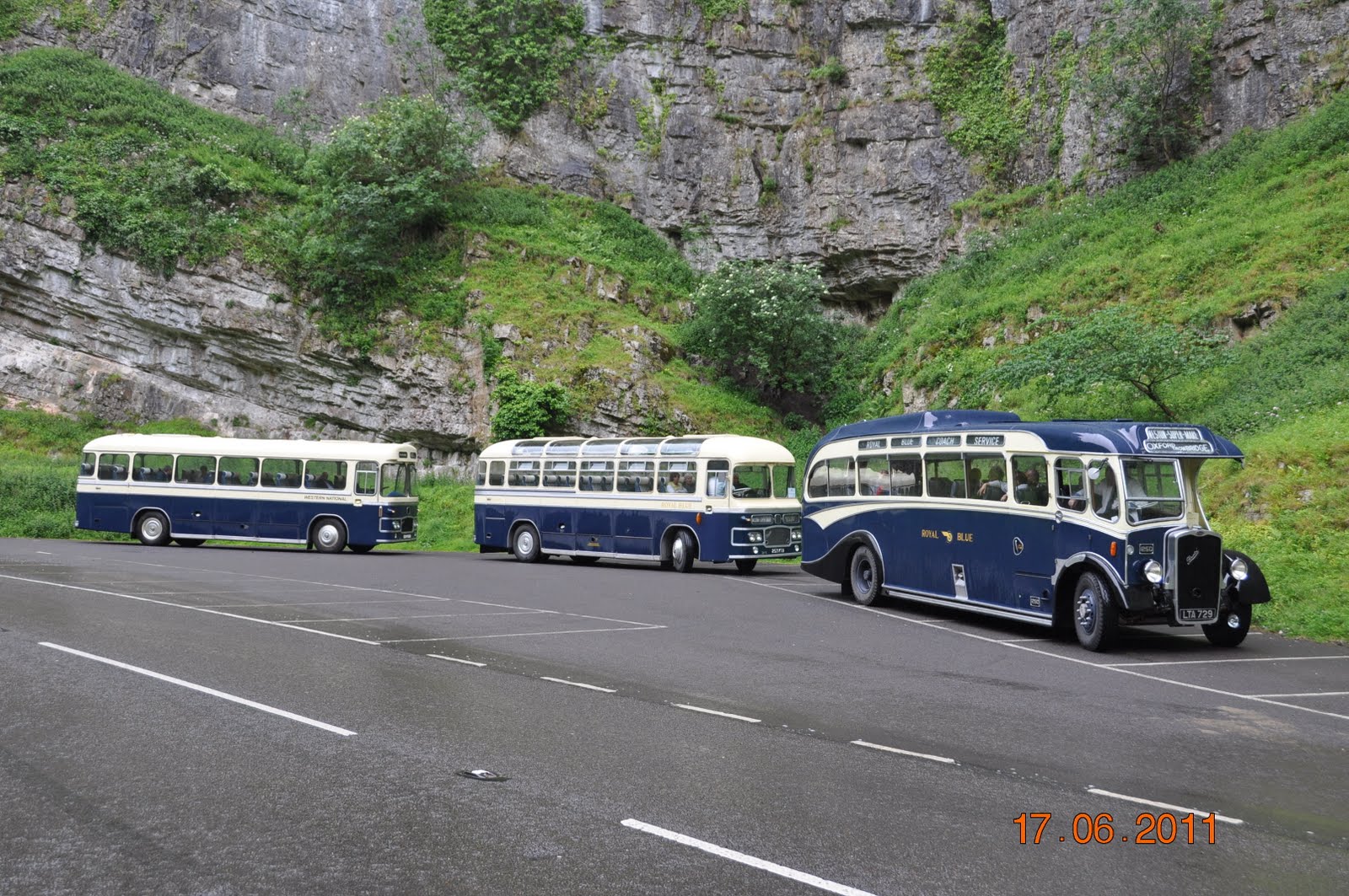 FOCUS TRANSPORT Royal Blue run