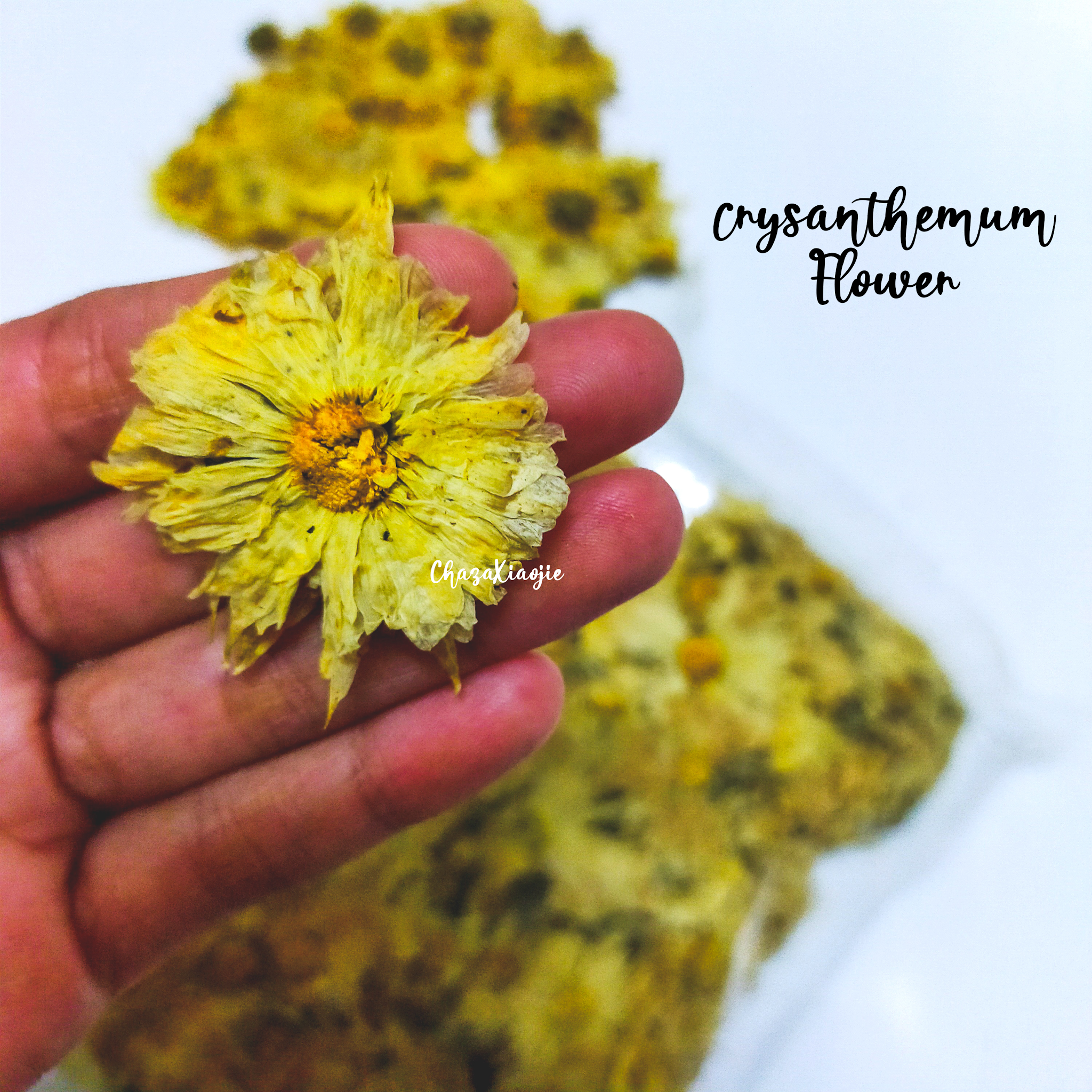 Kedai Ubat Perubatan Tradisional Cina Ban Heng Tong Trading Melaka