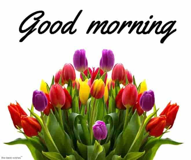 good morning messages for special someone