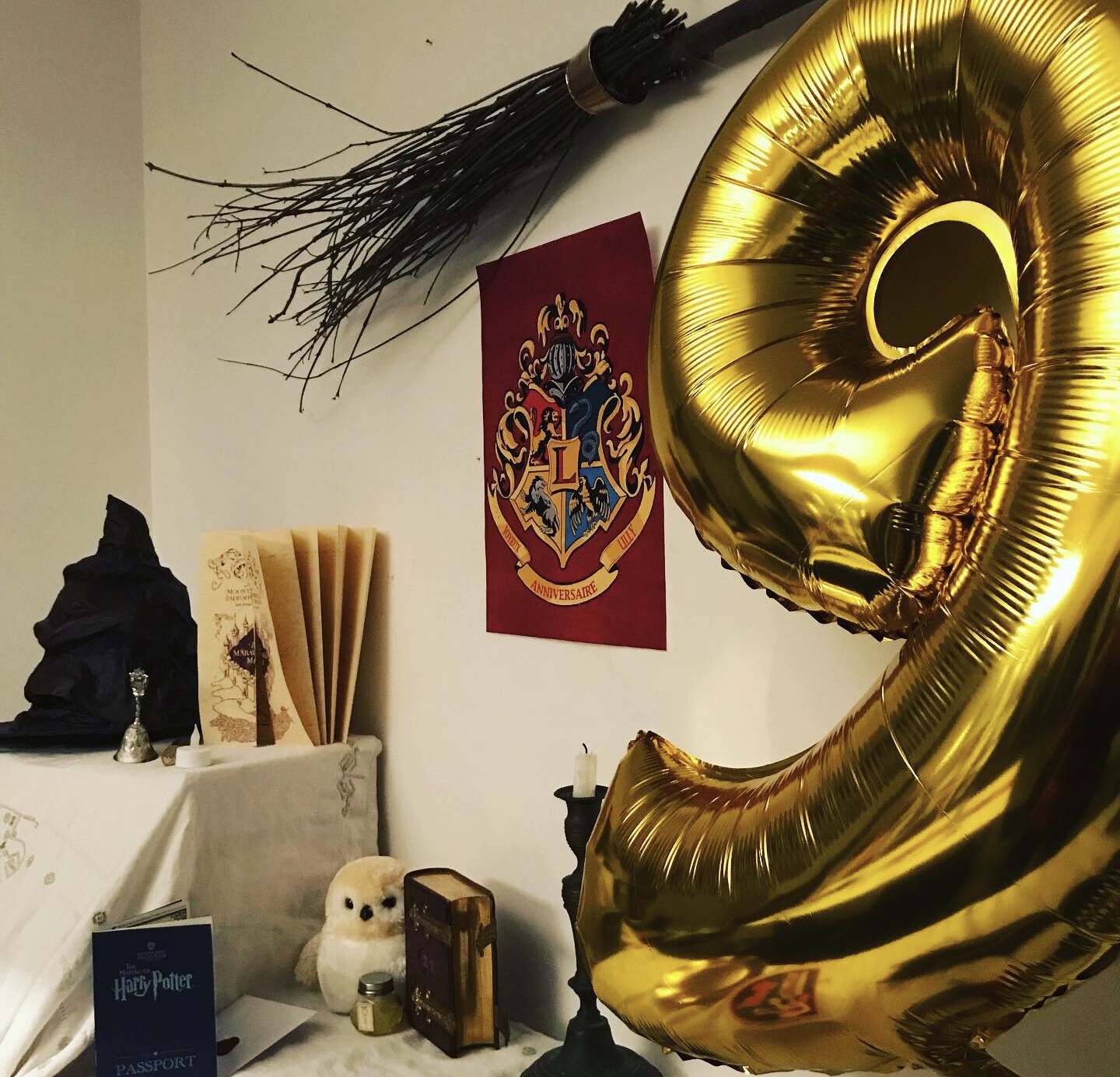 Une fête d'anniversaire Harry Potter #1