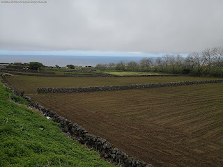 PORTUGAL / Cinco Ribeiras, Ilha Terceira, Açores, Portugal