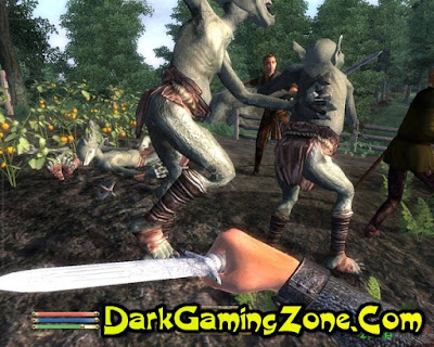 The Elder Scrolls IV Oblivion Game 5