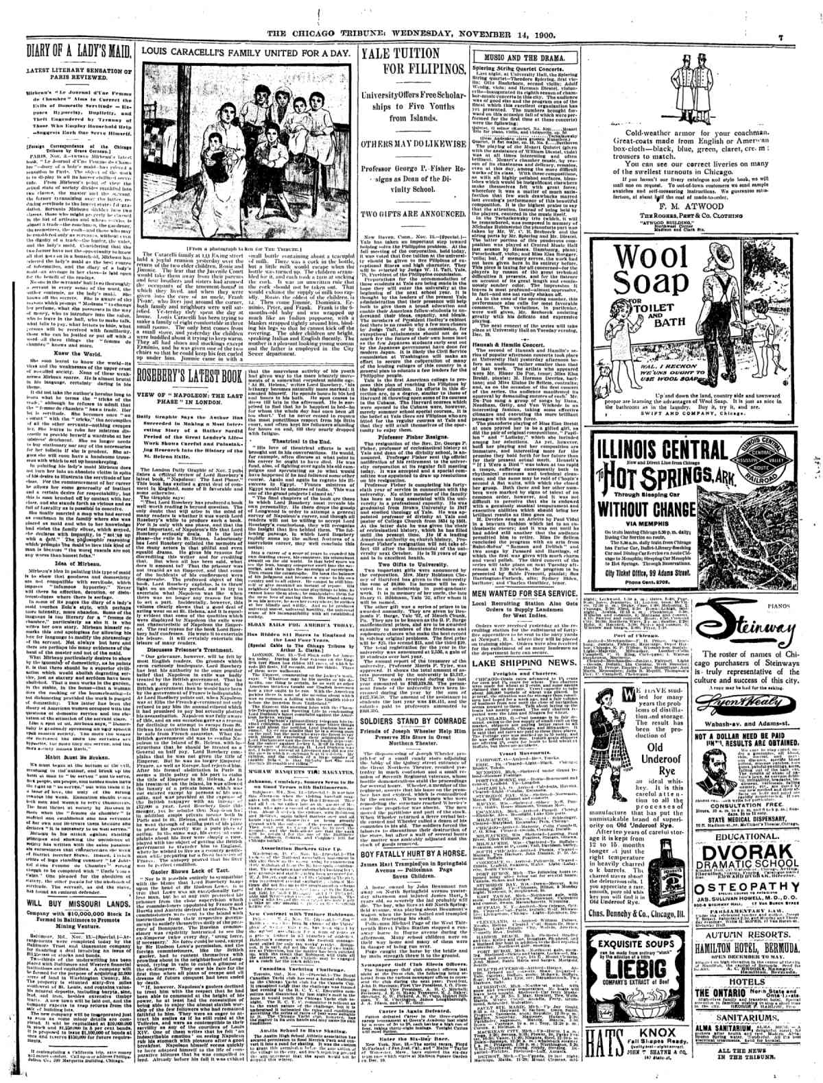 24+ The Lady&#039;s Maid&#039;s Bell Analysis Pictures