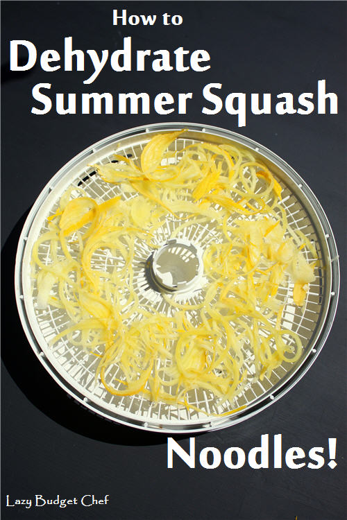 How to Dehydrate Spiraled Summer Squash Pasta Noodles